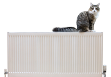 Cat on heater