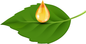 Oil heat leaf